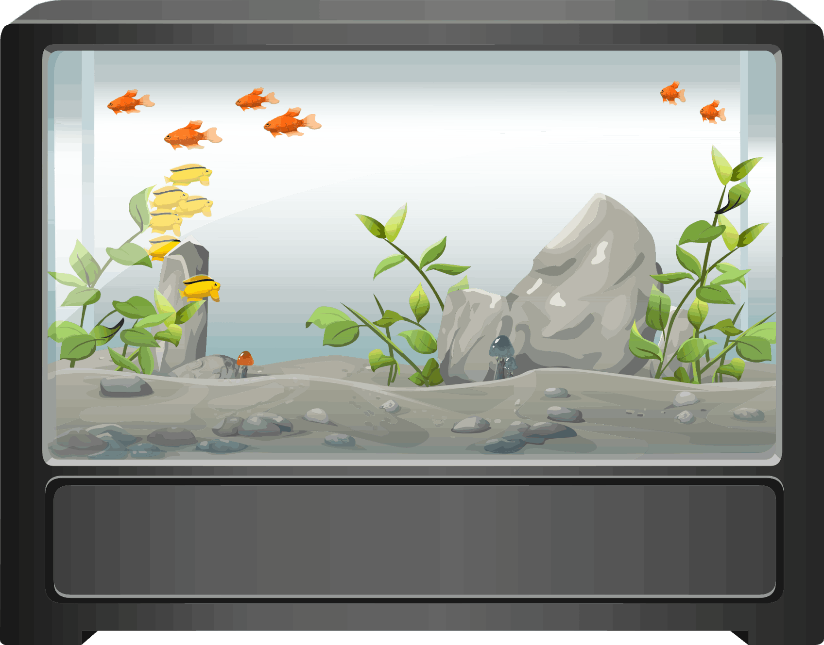 ciano aquariums